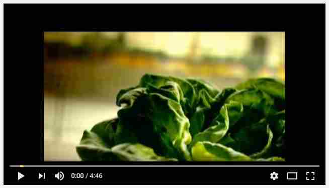 lettuce vid