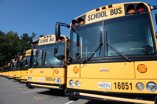 resizedbuses82026.jpg