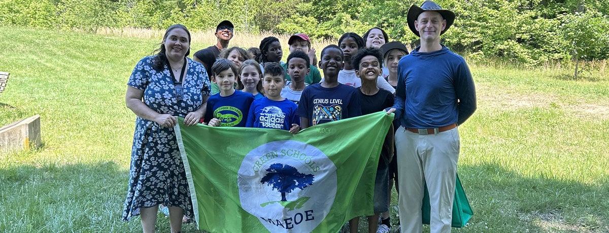 Green Schools
