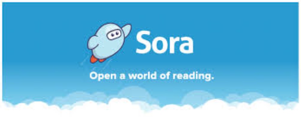 sora1.jfif