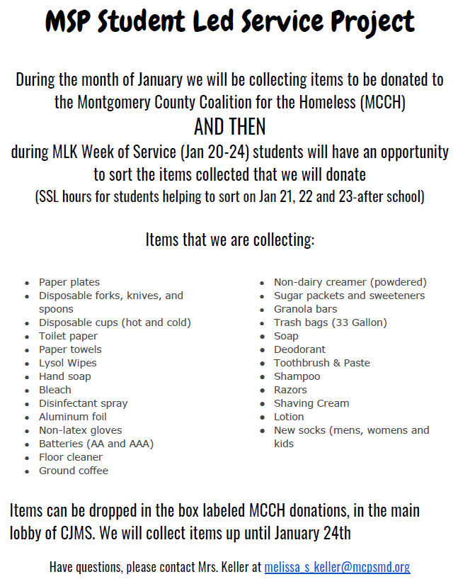 MSP Service Project January 2020