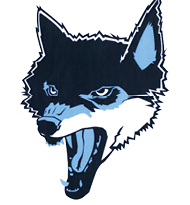 Clarksburg HS Logo