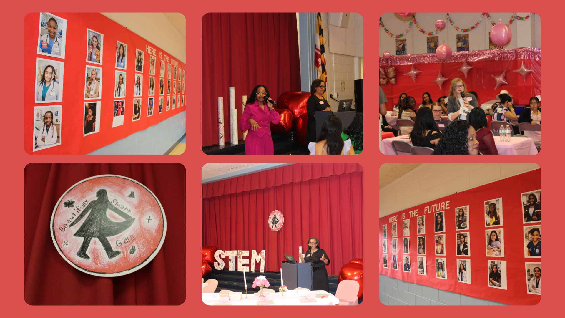 STEM (1).png