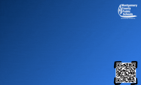 SECAC for Webs.gif