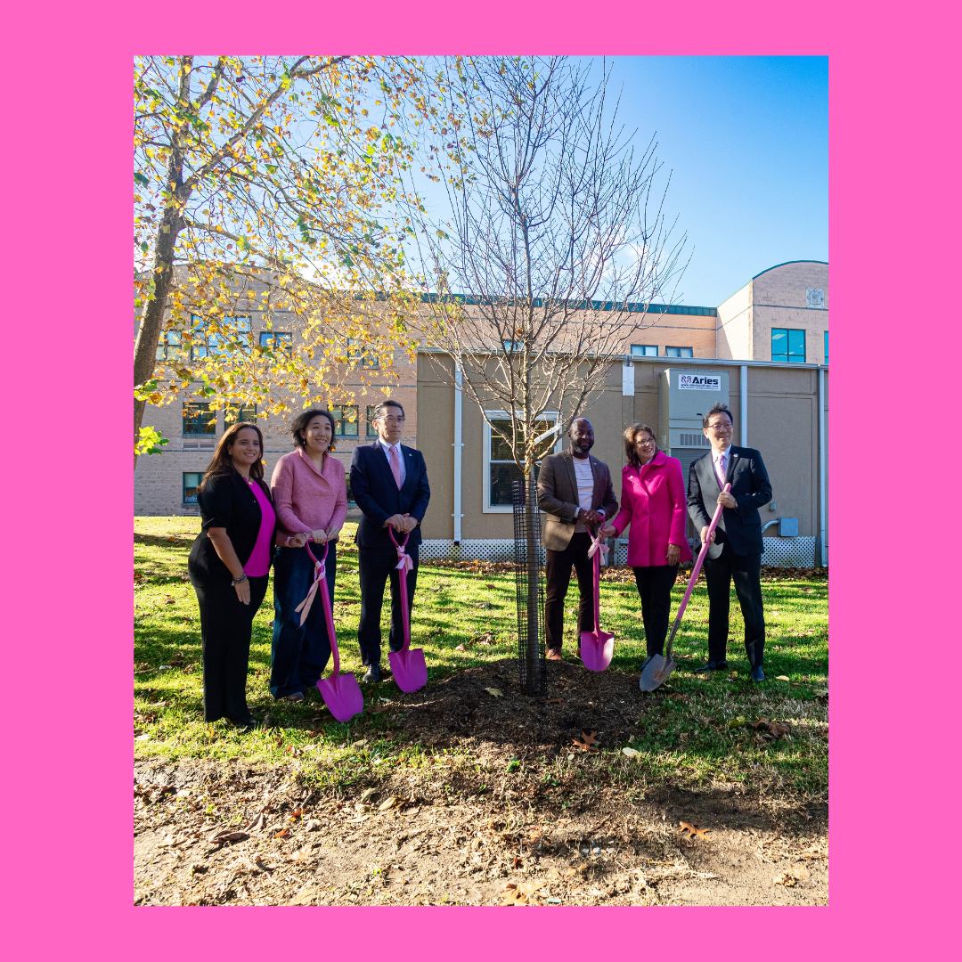 Cherry Blossom Header.png