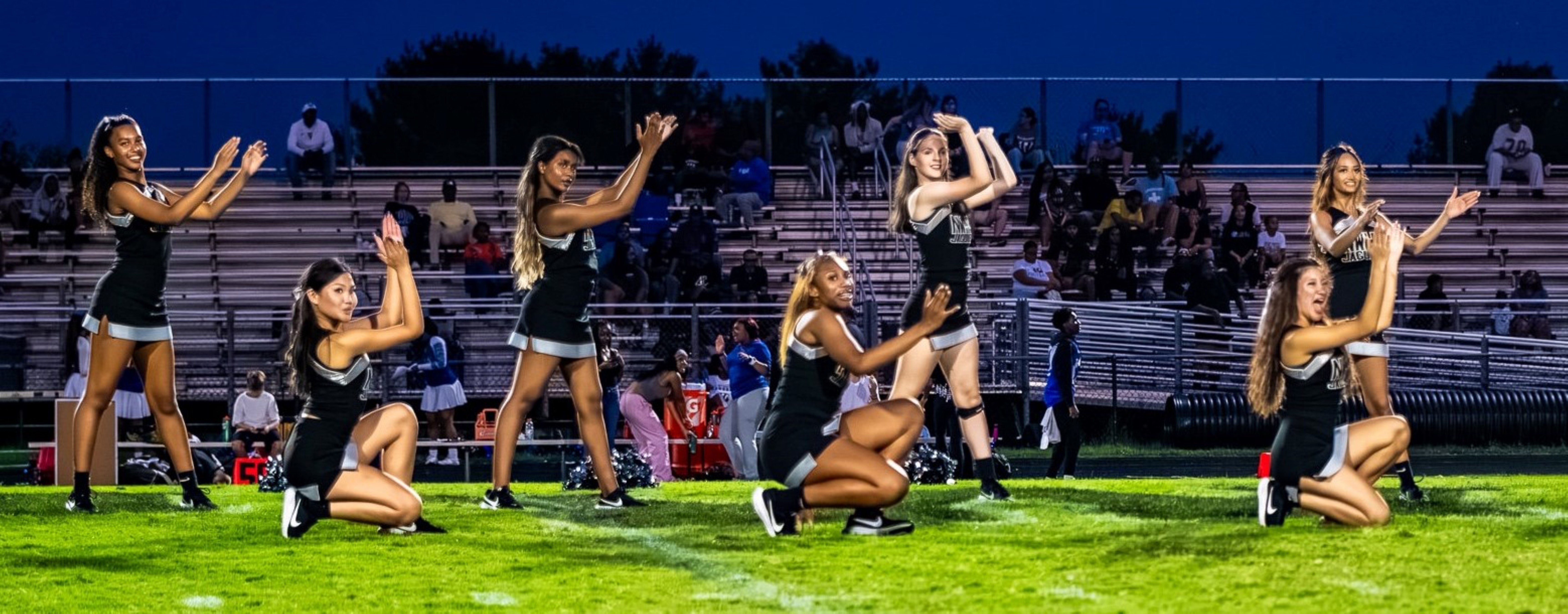 poms.jpg