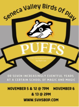 Puffs Play Flyer