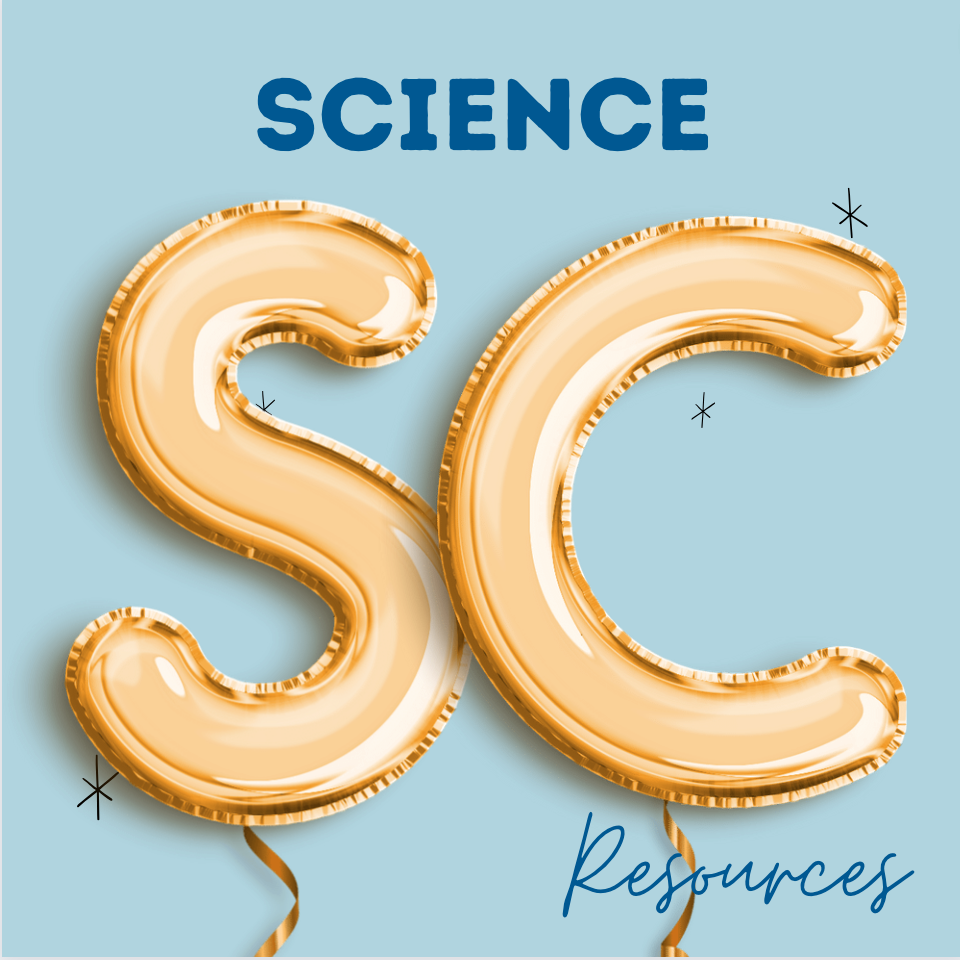 Real-Time Quantitative PCR - BTI Works