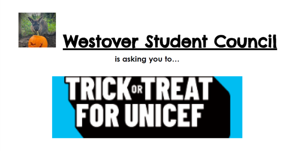 Unicef Flyer