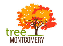Tree Montgomery