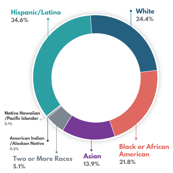Student Demographics 2022-2023