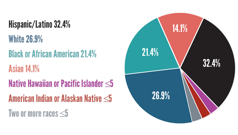 MCPS 2019-2020 School Year - Demographics