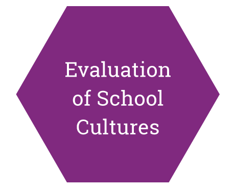 Evaluation of School Cultures
