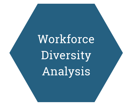 Workforce Diversity Analysis