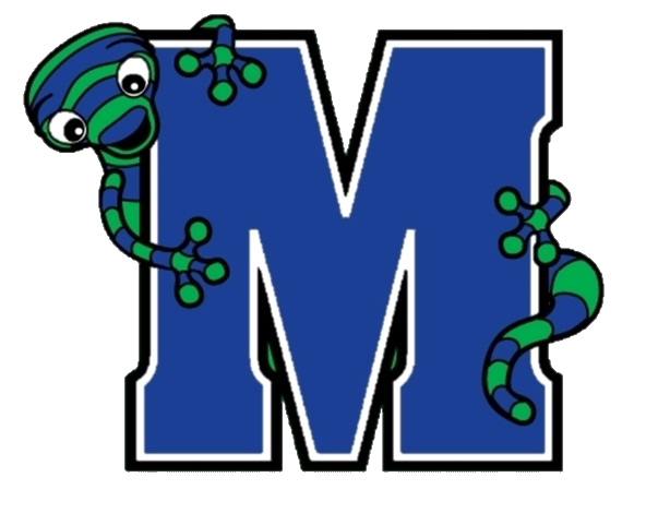 Matsunaga ES Gecko.png