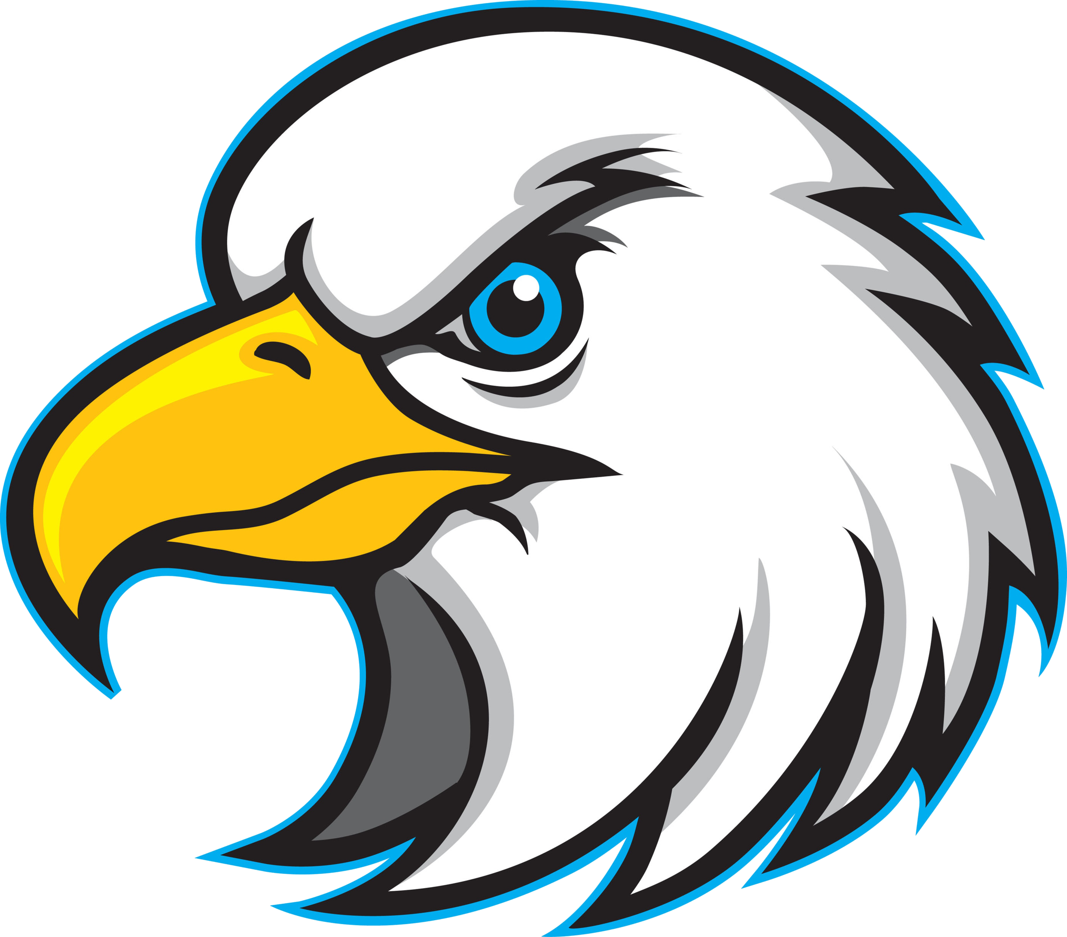 Rock Creek Valley Eagle.png