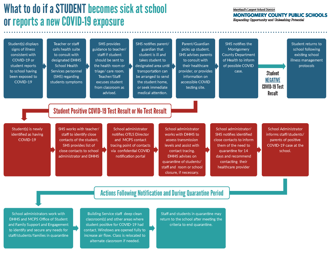 COVID student process map