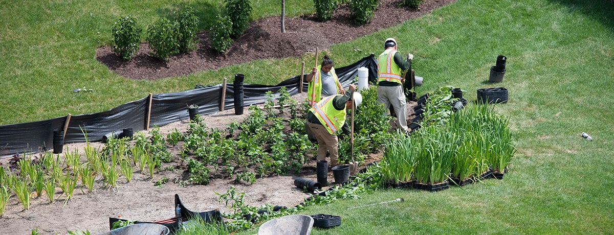 Bioretention Practices