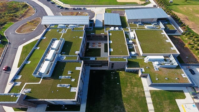 Green Roofs