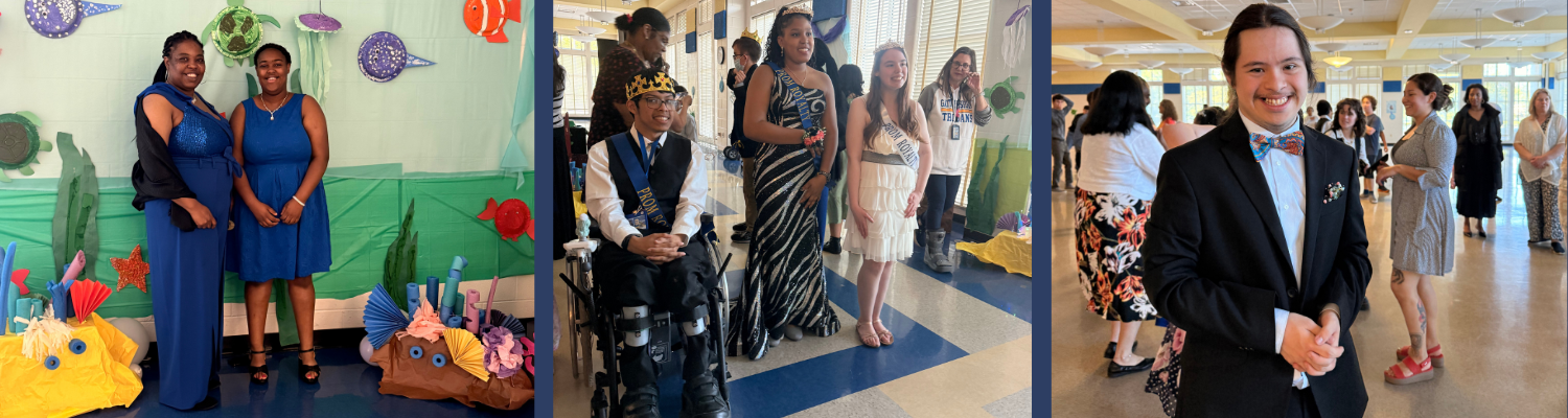 ALO Prom  (1500 x 400 px).png