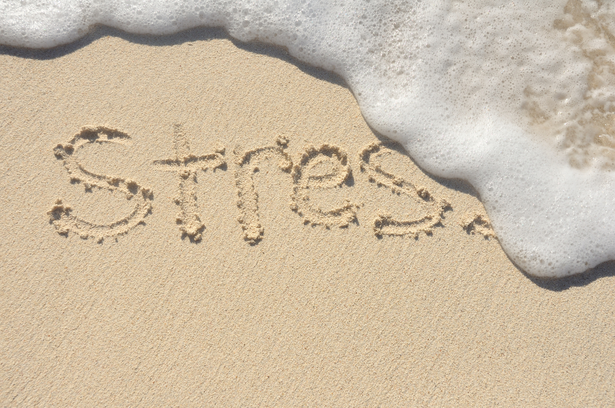 EAP, wellness, reduce stress.jpg