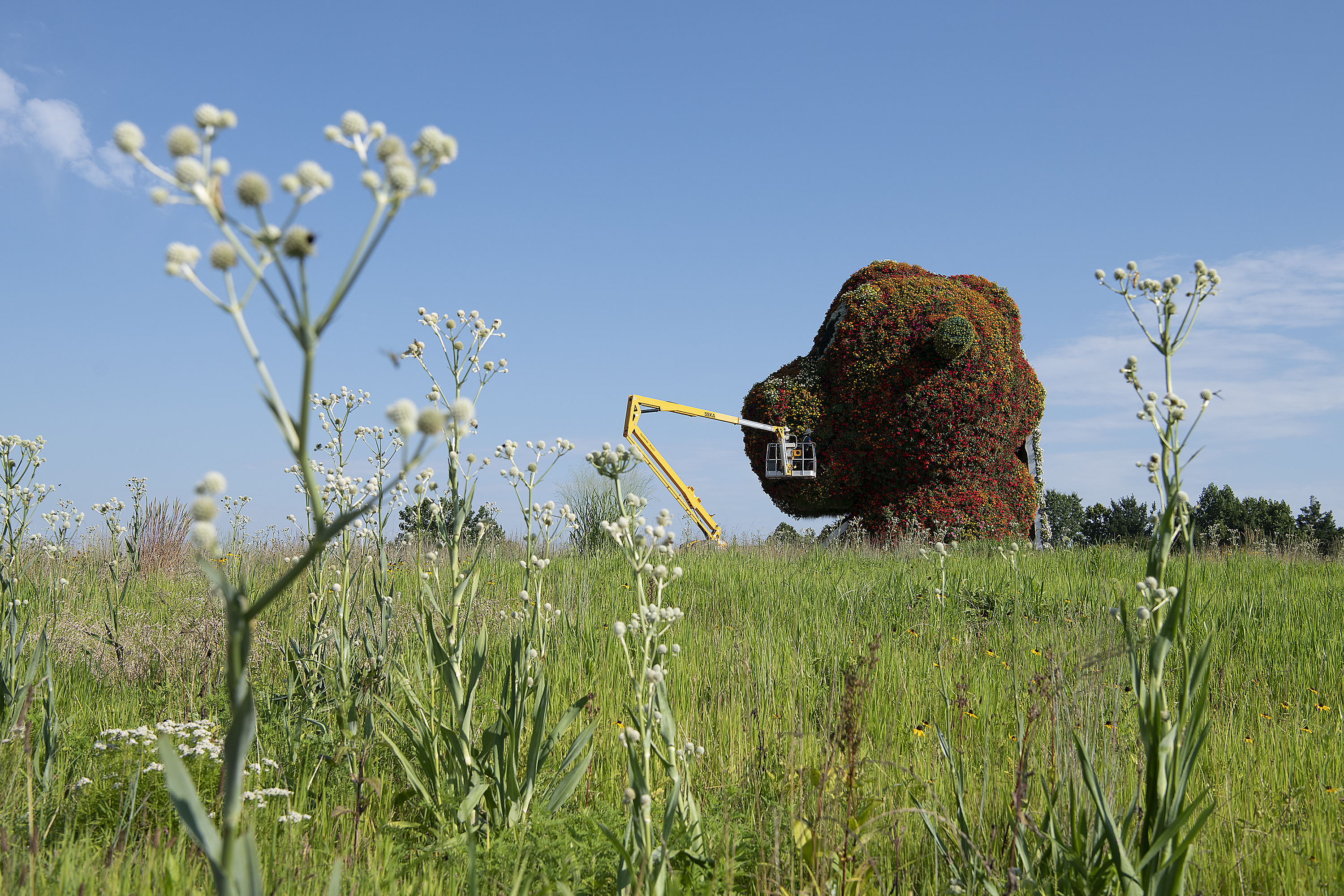 Glenstone museum 1.jpg