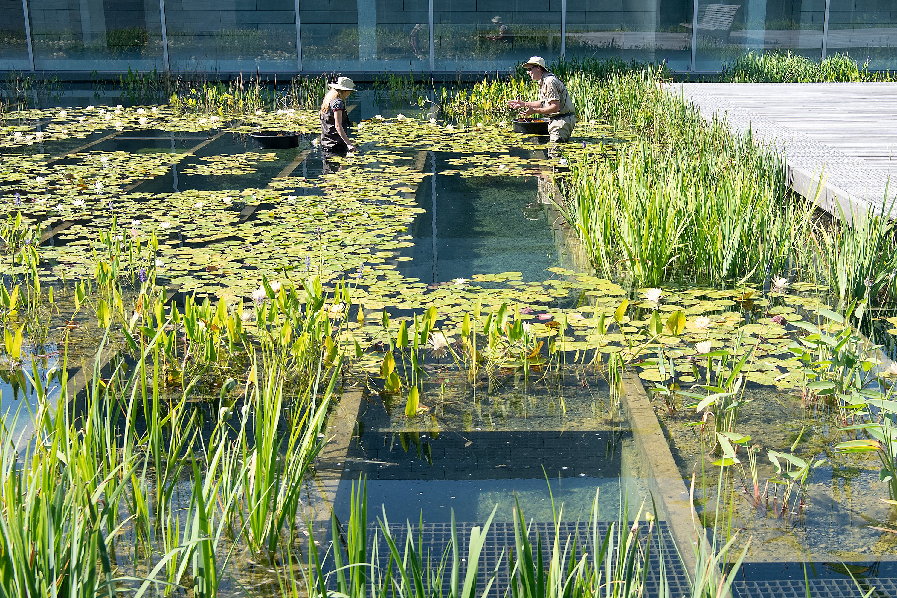 glenstone museum 4.jpg