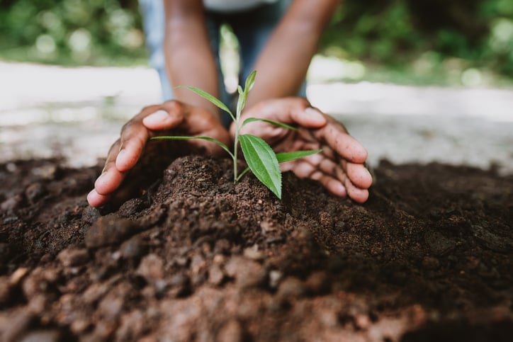 green schools, earth day.jpg