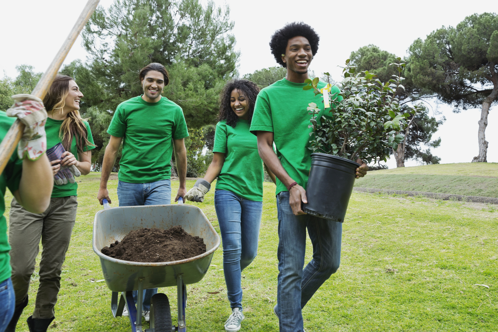 tree planting, plant a tree, environment.jpg