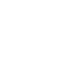intelligence