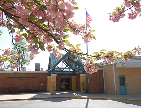 Ashburton Elementary School