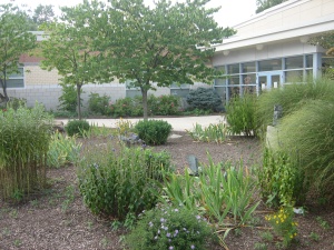 Front.Garden