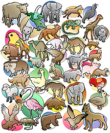 Animal Research Animal Research