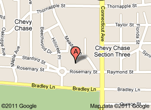 Google map(1)