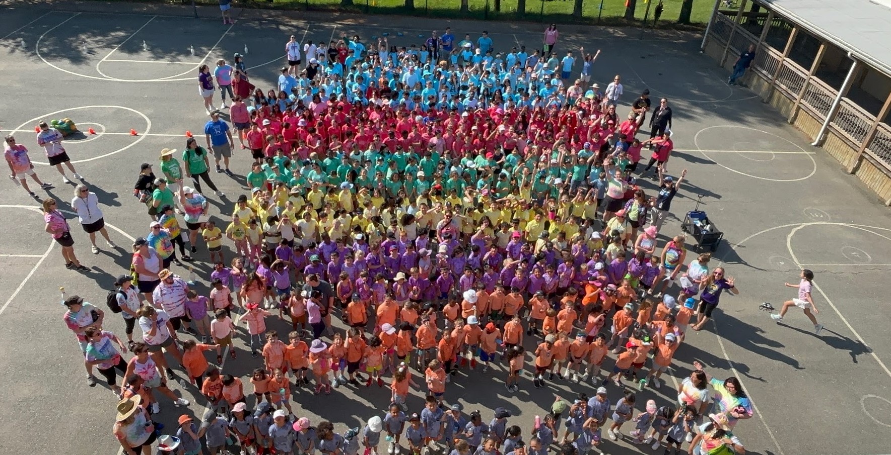 Field day1.jpg