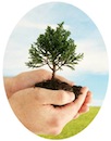 arbor-day