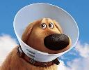 up_dug
