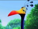 up_kevin