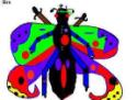 /uploadedImages/schools/forestknollses/specials/art/gallery/grade2/cbutterfly4.jpg