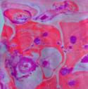/uploadedImages/schools/forestknollses/specials/art/gallery/kindergarten/marble3.jpg