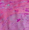 /uploadedImages/schools/forestknollses/specials/art/gallery/kindergarten/marble5.jpg