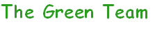 Highland View ES Green Team Logo