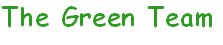 Highland View ES Green Team Logo
