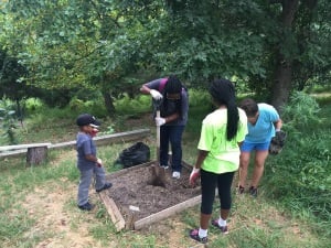 Plant Garden