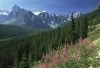 rockymountains