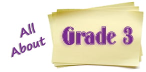 Grade 3