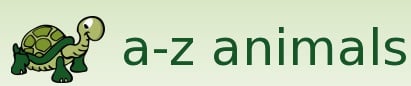 animals a-z