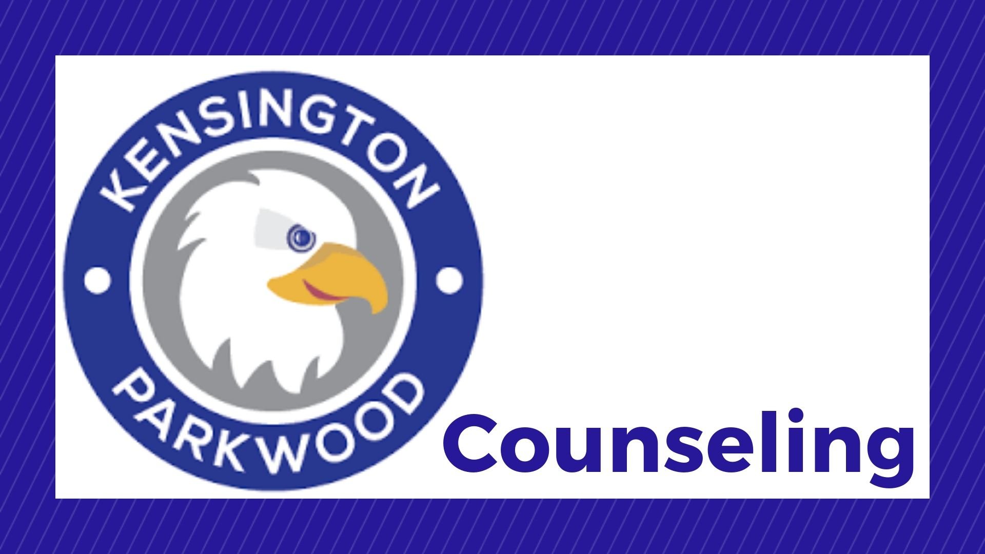 School Counselor