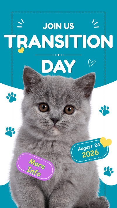 Blue and White Playful Cat Instagram Story.png