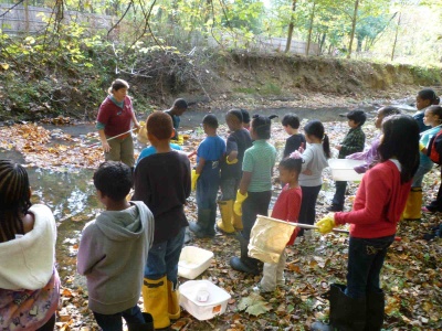 GreenKids Pix2
